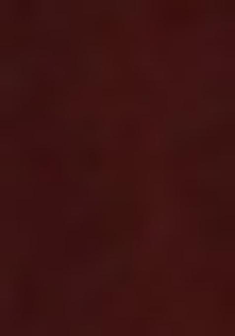 Maroon Zari Embroidered Velvet Salwar Kameez