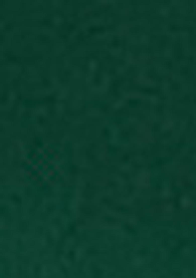 Green Woven Silk Dress Material