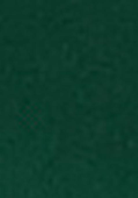 Green Woven Silk Dress Material