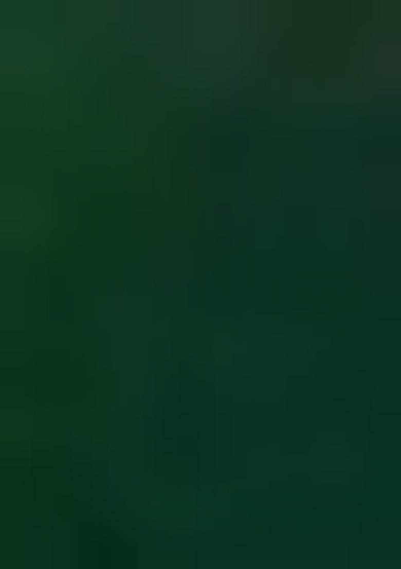 Green Embroidered Silk Palazzo Set With Dupatta