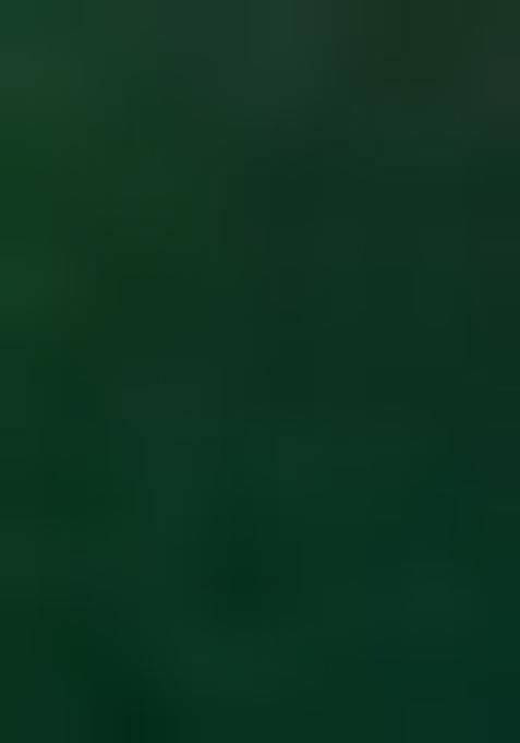 Green Embroidered Silk Palazzo Set With Dupatta