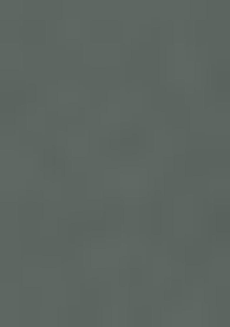 Grey Embroidered Georgette Pakistani Salwar Kameez