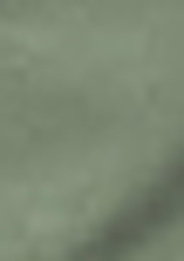 Olive Embroidered Georgette Pakistani Salwar Kameez