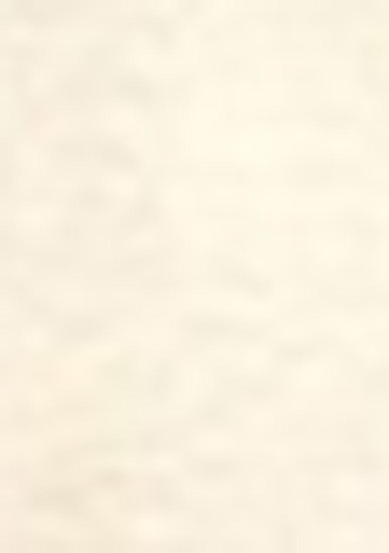 White Embroidered Silk Palazzo Set With Dupatta