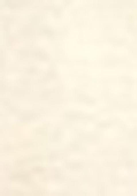 White Embroidered Silk Palazzo Set With Dupatta