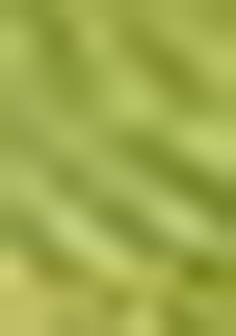 Olive Green Solid Silk Dress Material