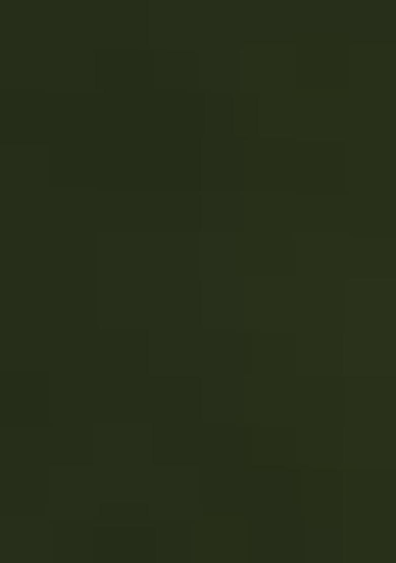 Olive Green Solid Georgette Dress Material