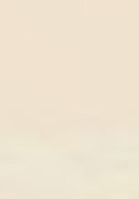 White Embroidered Jacquard Salwar Kameez