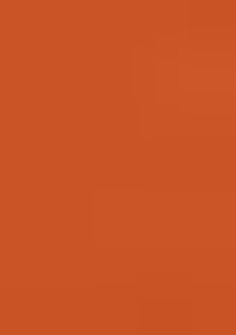 Orange Embroidered Silk Palazzo Set