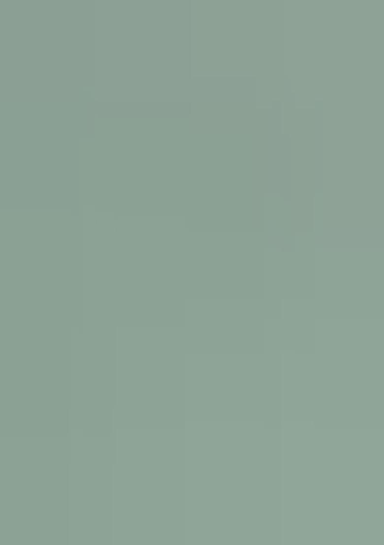 Green Embroidered Georgette Sharara Set