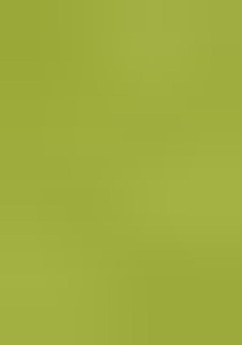 Green Embroidered Silk Palazzo Set