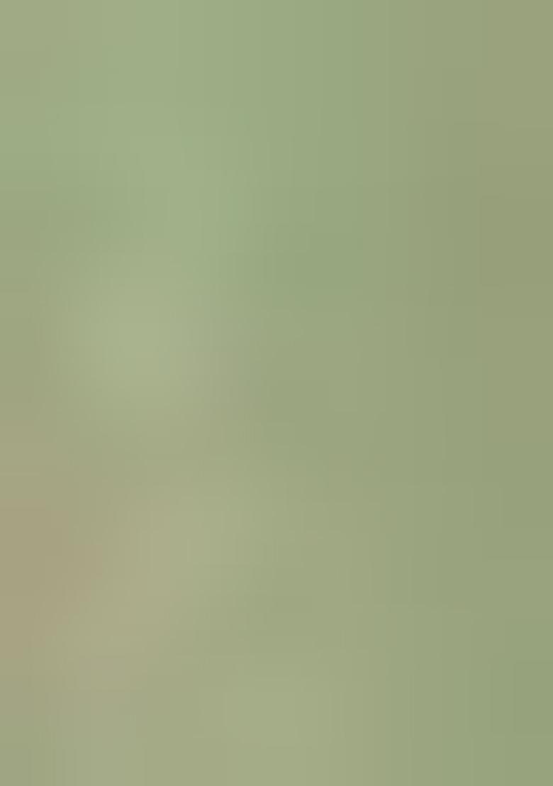 Olive Green Embroidered Silk Palazzo Set