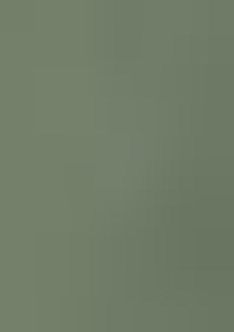 Green Embroidererd Georgette Salwar Kameez With Dupatta