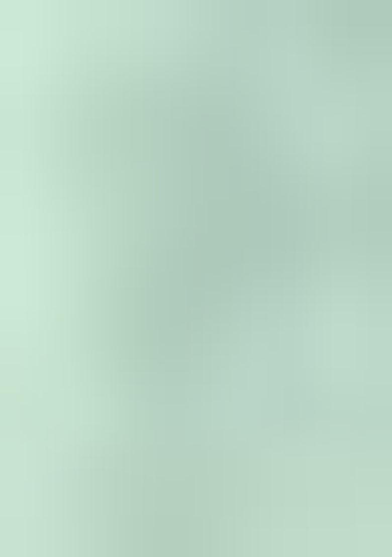 Light Green Embroidererd Organza Salwar Kameez With Dupatta