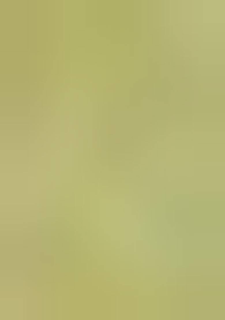 Green Embroidererd Georgette Salwar Kameez With Dupatta