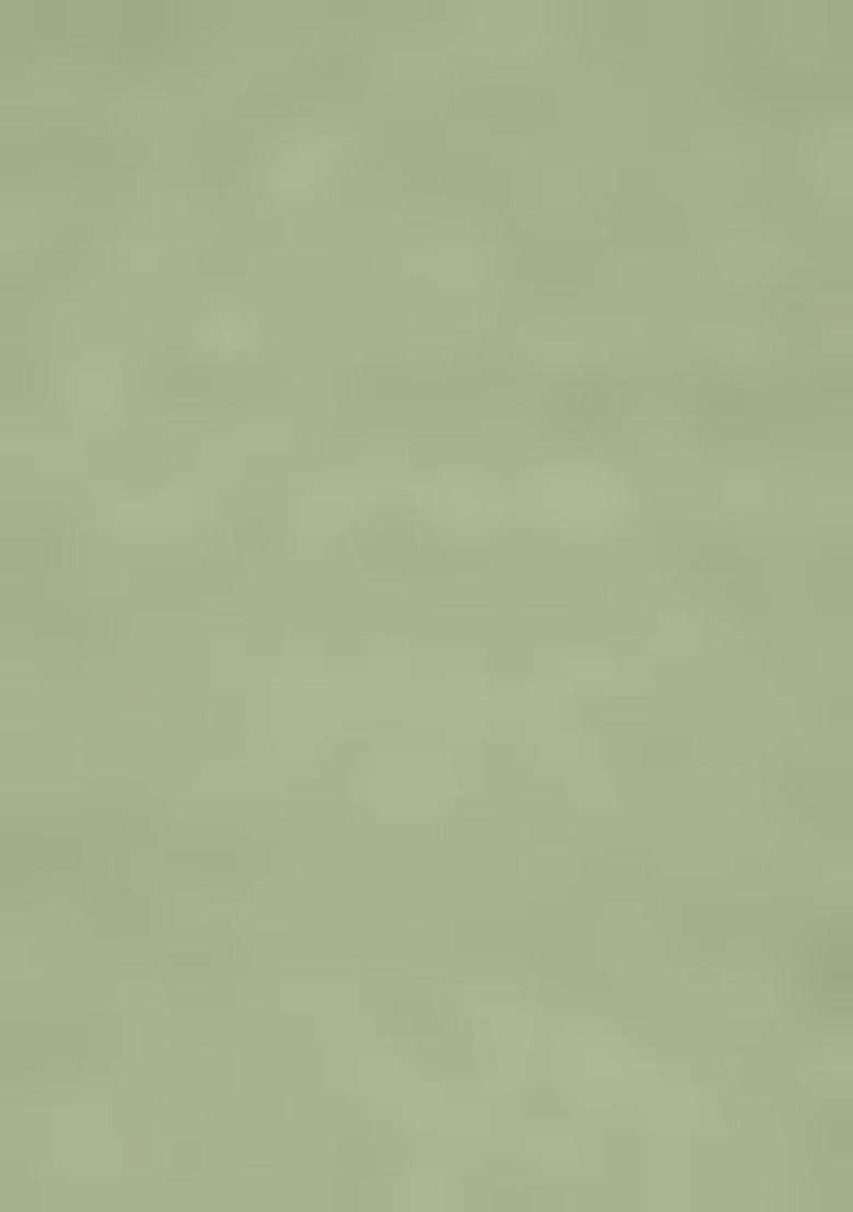 Green Embroidered Net Salwar Kameez With Dupatta