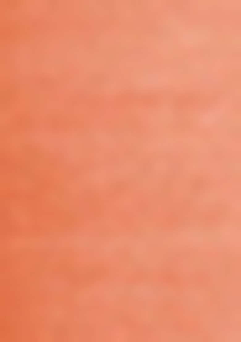 Peach Embroidered Net Pakistani Suit Set - Indya
