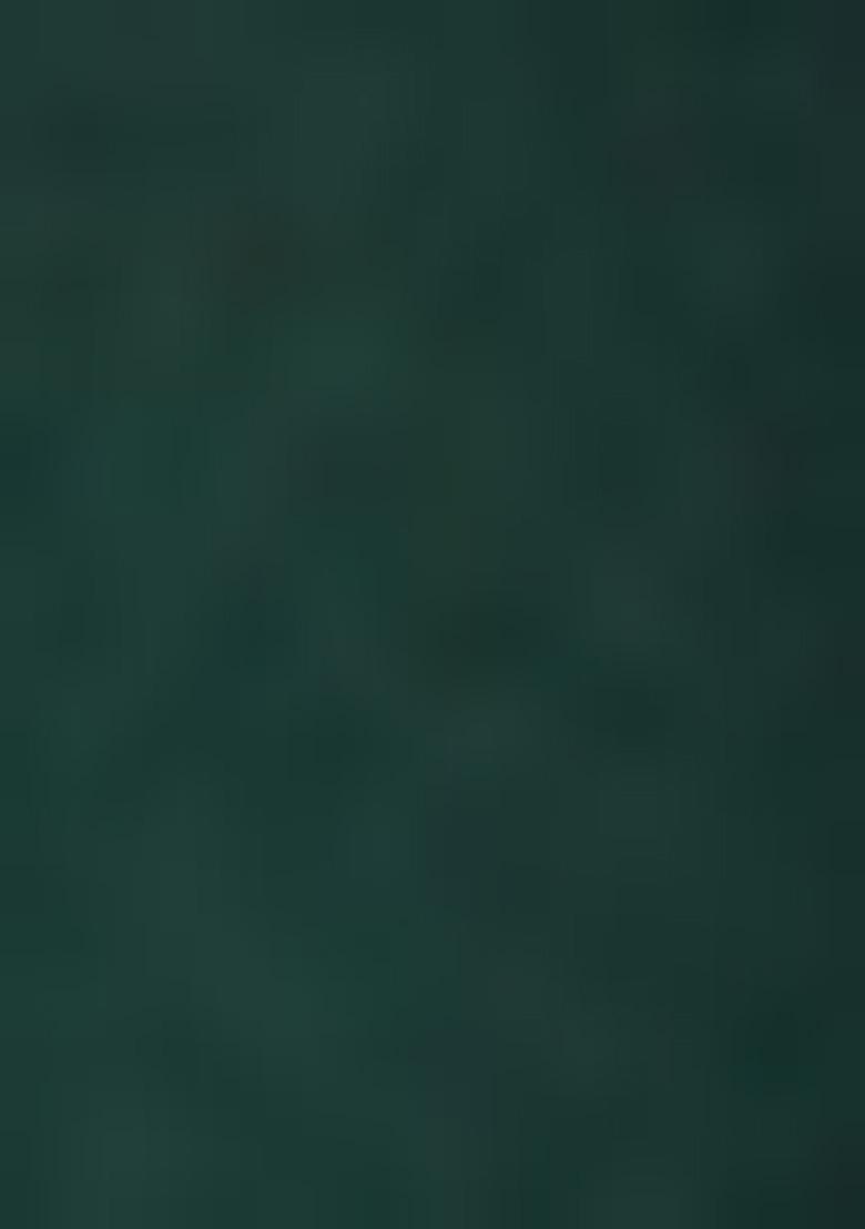 Green Embroidered Velvet Palazzo Set With Dupatta