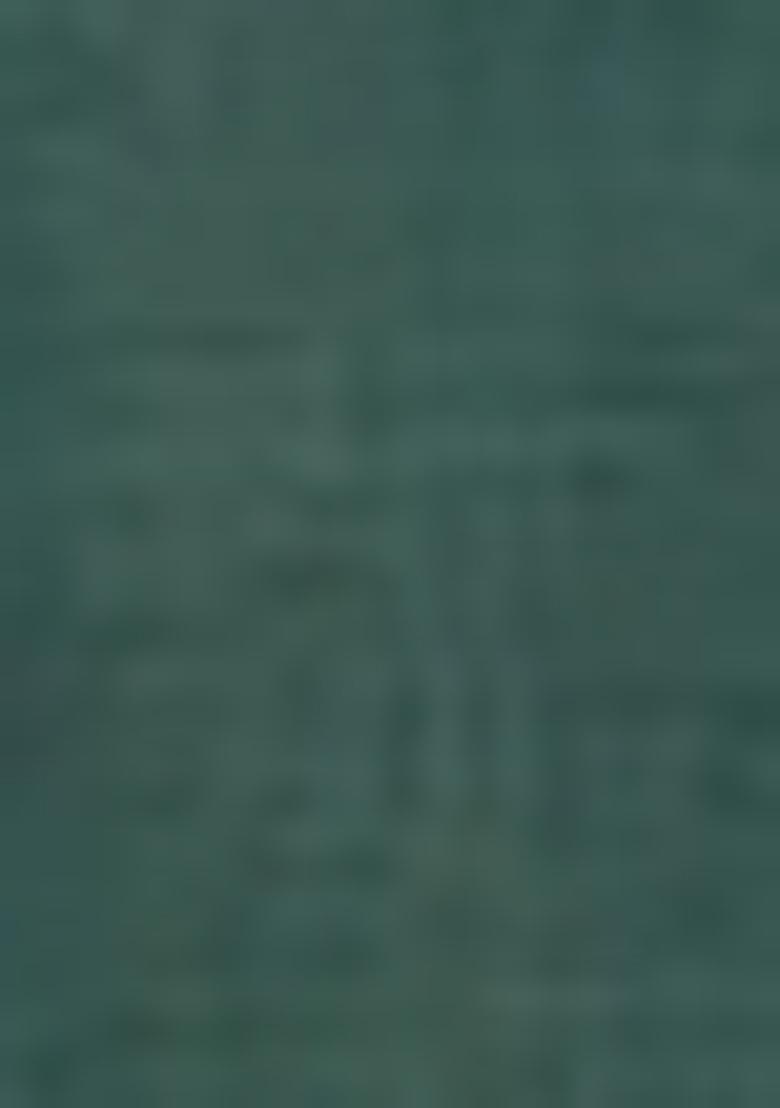 Green Embroidered Silk Sharara Set With Dupatta