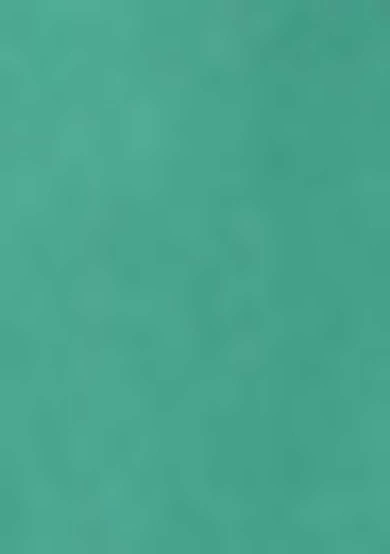 Sea Green Embroidered Silk Sharara Set - Indya
