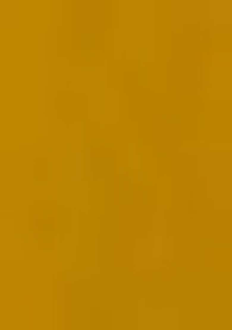 Mustard Yellow Embroidered Georgette Anarkali Set - Indya