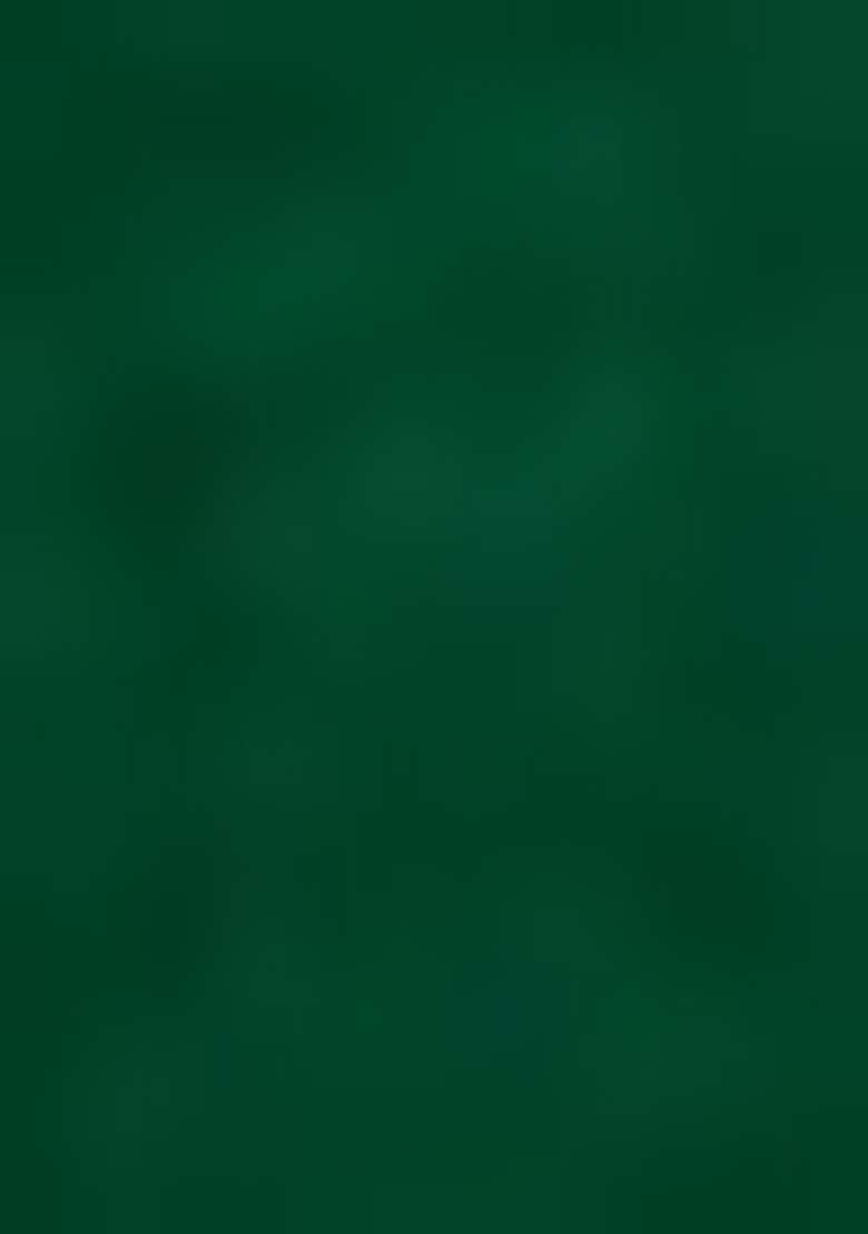 Green Embroidered Silk Blend Anarkali Set - Indya