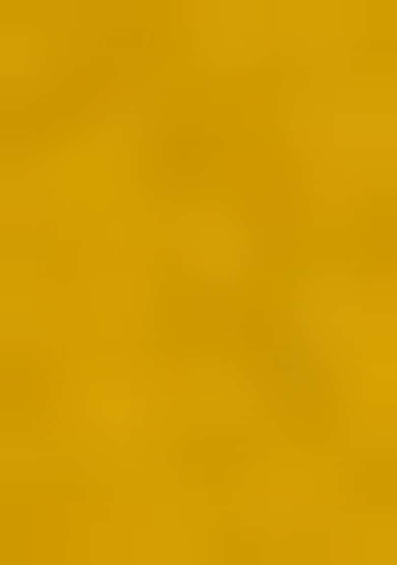 Mustard Yellow Embroidered Jacquard Anarkali With Dupatta With Dupatta - Indya