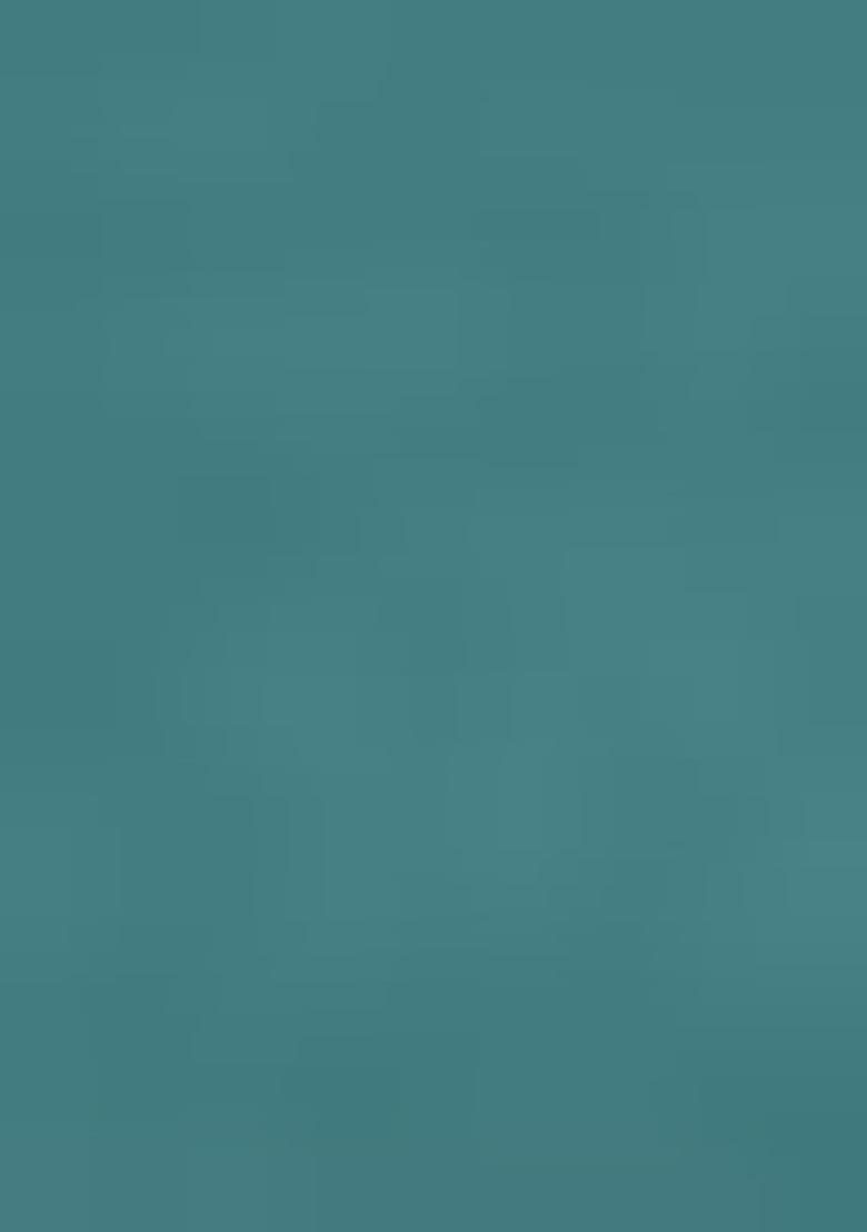 Green Embroidered Chinnon Anarkali Set With Dupatta