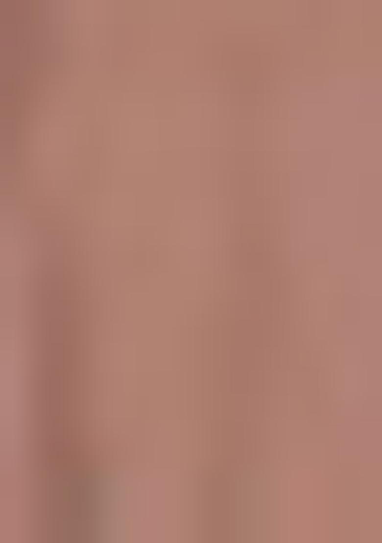 Brown Embroidered Georgette Salwar Kameez With Dupatta