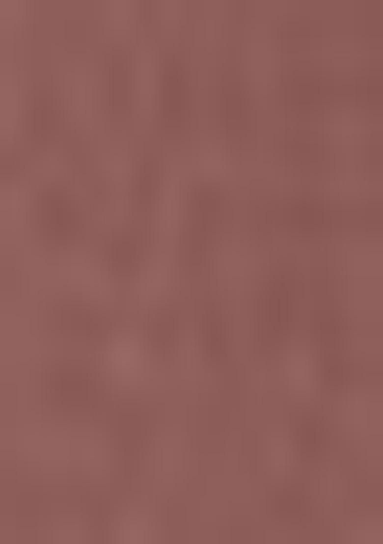 Brown Embroidered Georgette Salwar Kameez With Dupatta