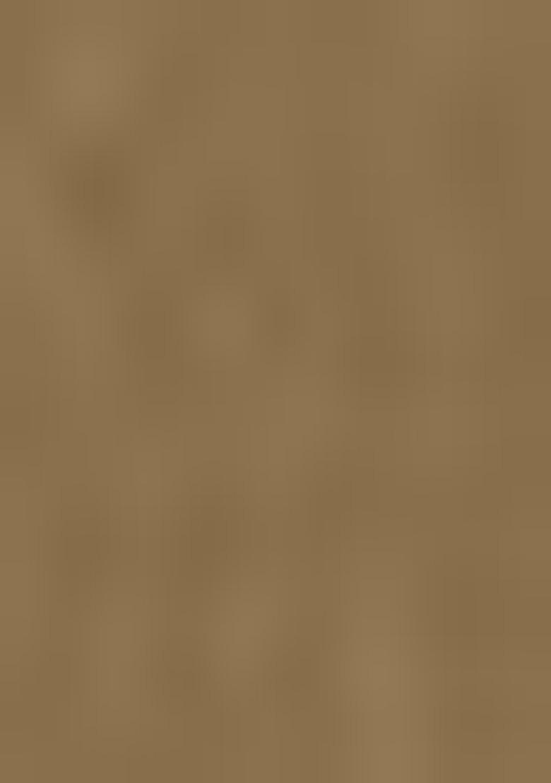 Cofee Brown Embroidered Georgette Salwar Kameez With Dupatta