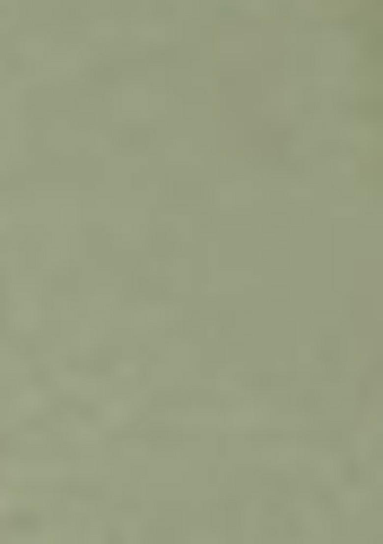 Pista Green Embroidered Georgette Salwar Kameez With Dupatta