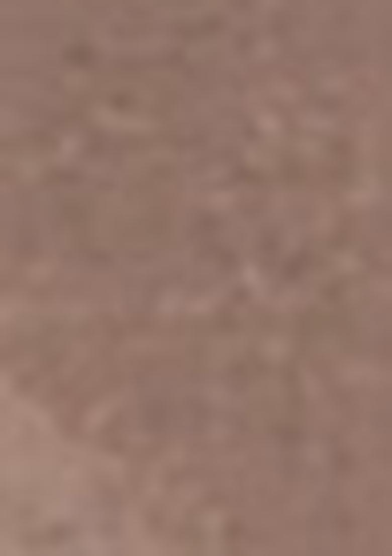 Light Brown Embroidered Silk Salwar Kameez With Dupatta