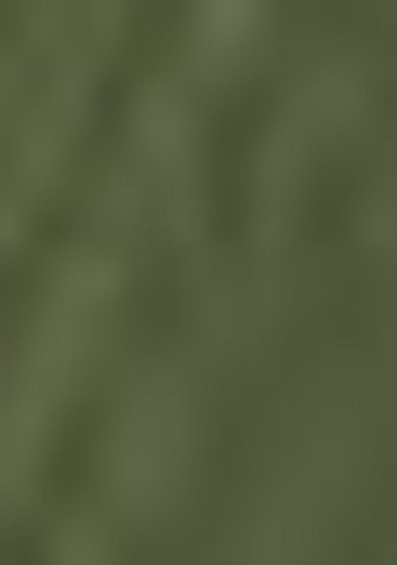 Mehendi Green Embroidered Silk Salwar Kameez With Dupatta