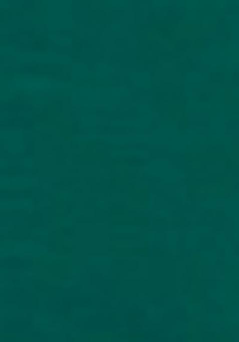 Mint Green Embroidered Silk Palazzo Set With Dupatta