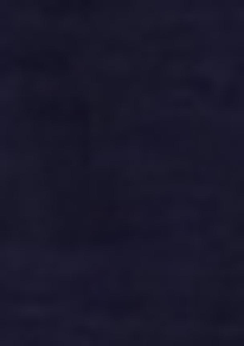 Navy Blue Embroidered Silk Palazzo Set With Dupatta