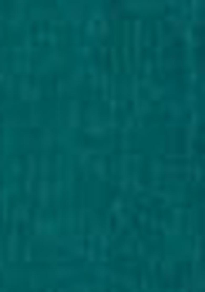 Green Embroidered Silk Palazzo Set With Dupatta