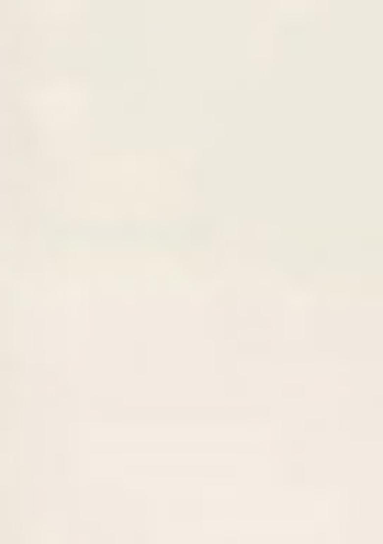 White Embroidered Faux Georgette Salwar Kameez