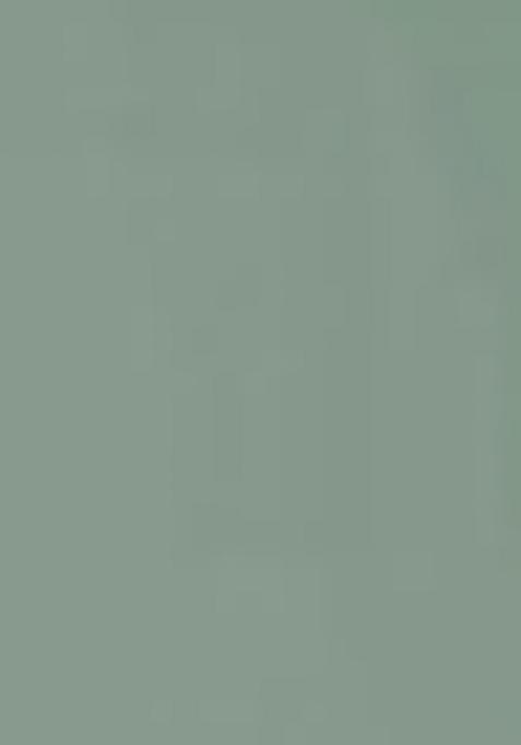 Light Green Embroidered Faux Georgette Salwar Kameez