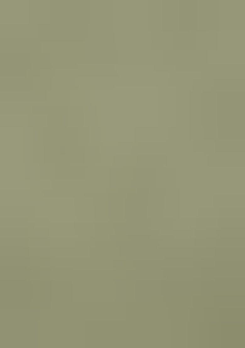 Light Sea Green Embroidered Georgette Salwar Kameez With Dupatta