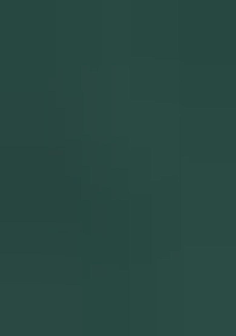 Green Embroidered Georgette Salwar Kameez With Dupatta