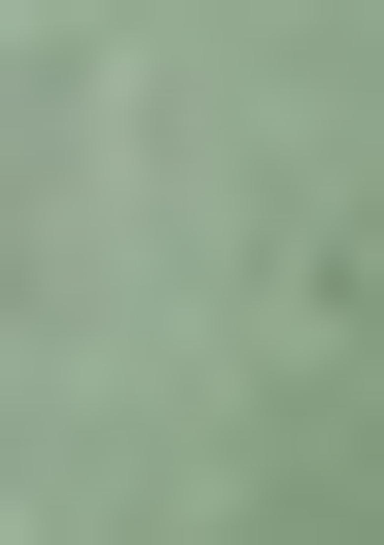 Pista Green Embroidered Cotton Pakistani Salwar Kameez With Dupatta