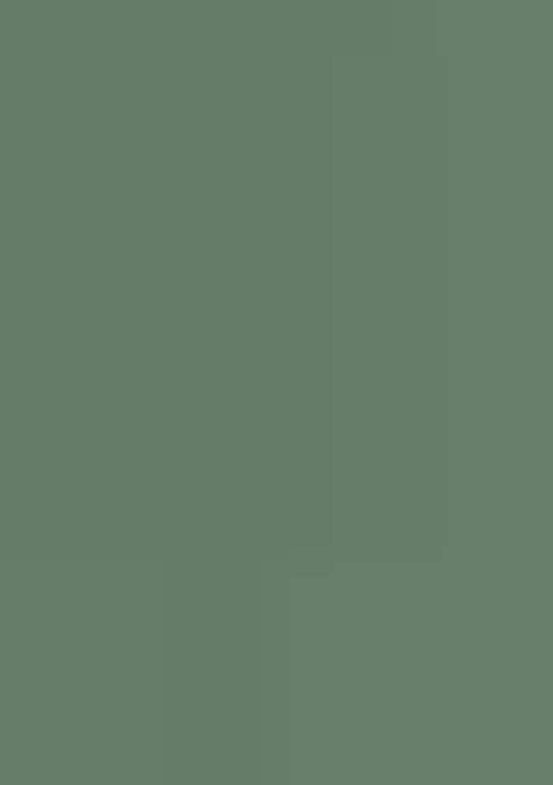 Pista Green Embroidered Georgette Salwar Kameez With Dupatta