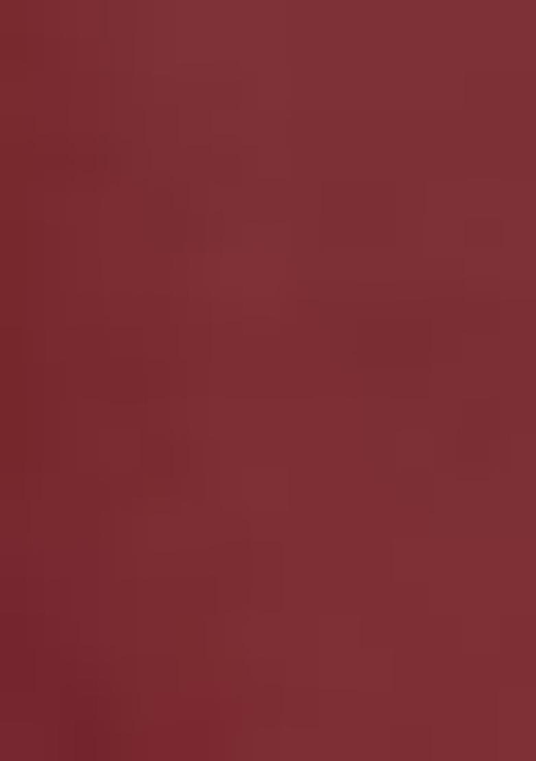 Maroon Embroidered Georgette Salwar Kameez With Dupatta