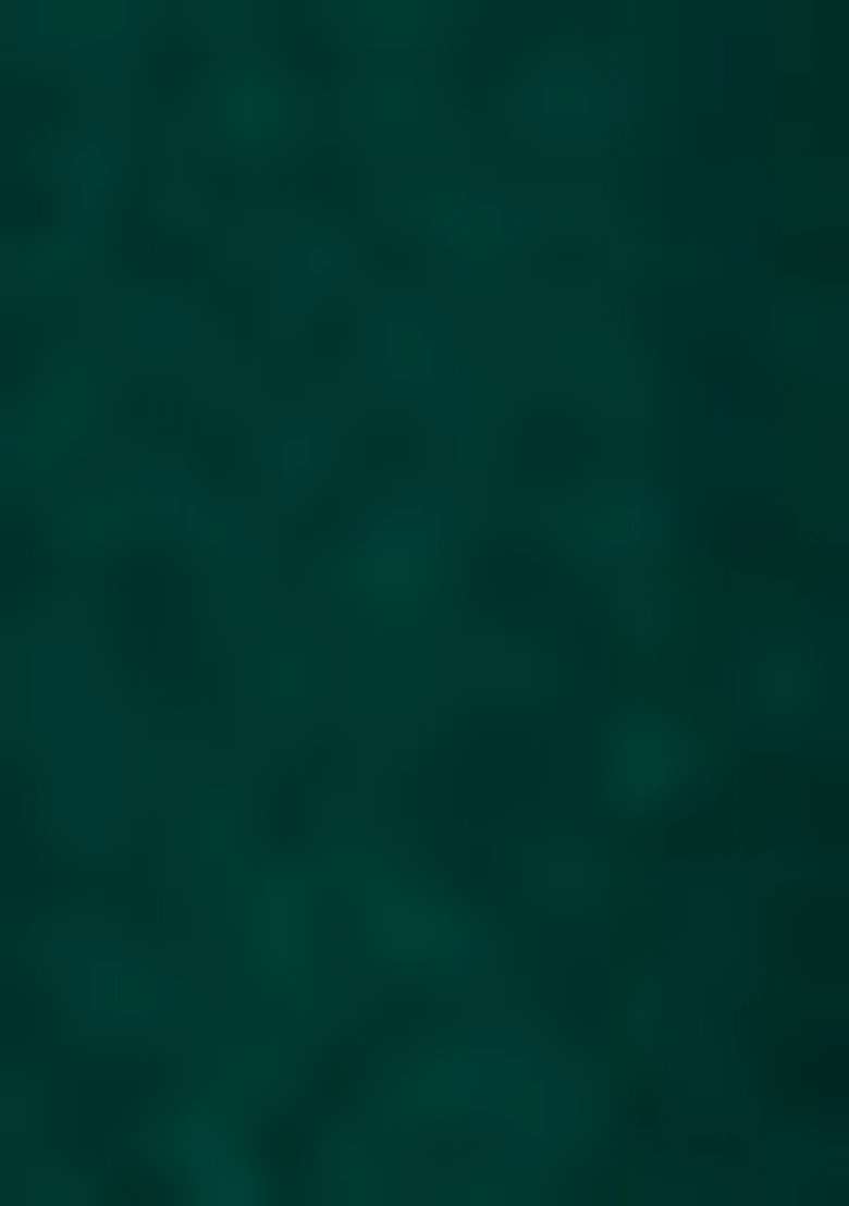 Green Embroidered Velvet Sharara Set With Dupatta - Indya