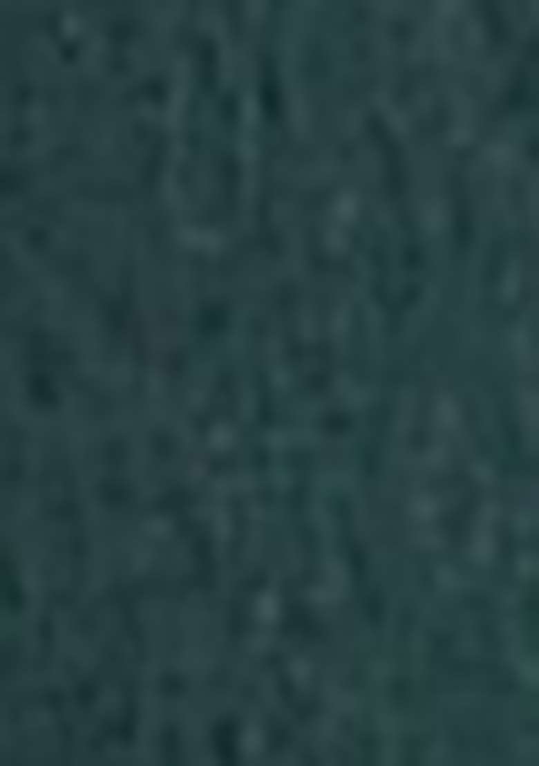 Rama Green Embroidered Munga Silk Sharara Set With Dupatta - Indya