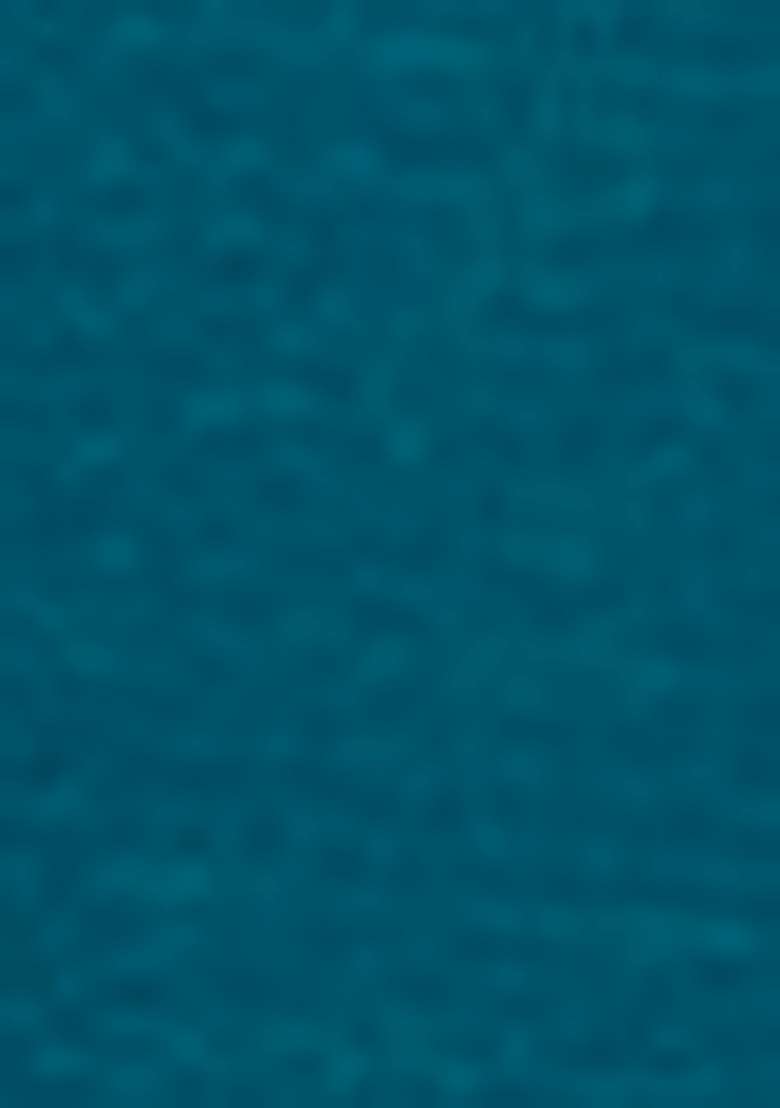 Teal Blue Embroidered Chiffon Sharara Set - Indya