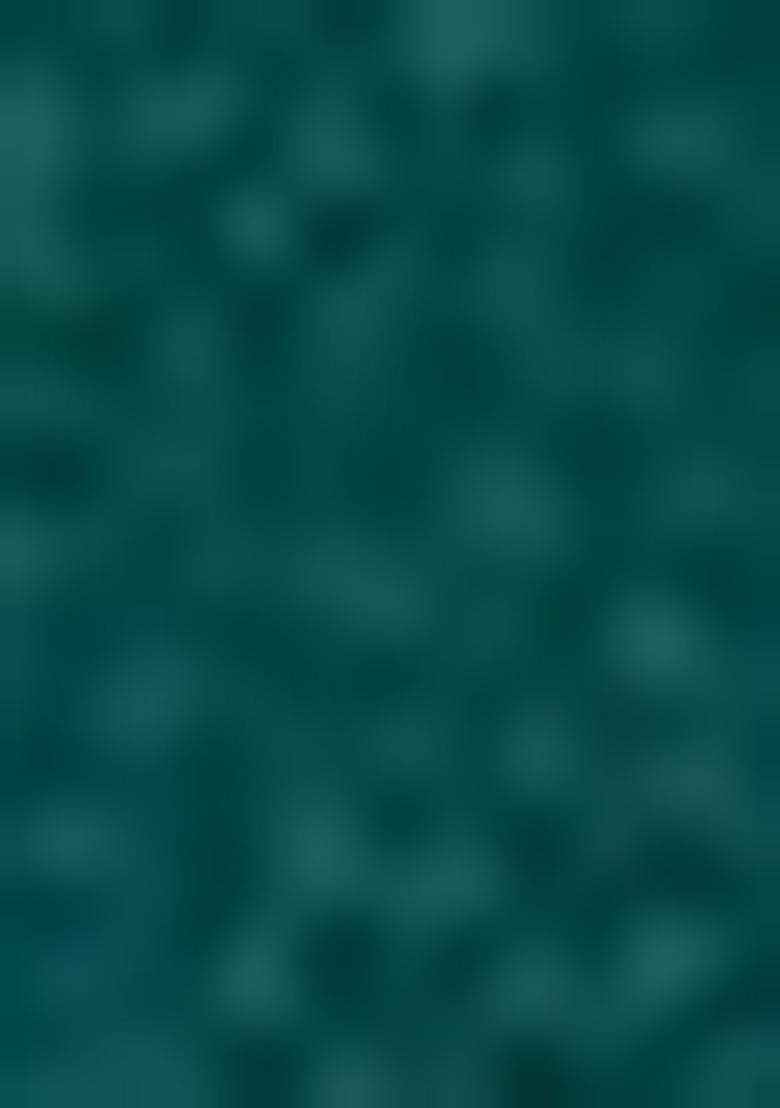 Green Embroidered Chiffon Sharara Set With Dupatta