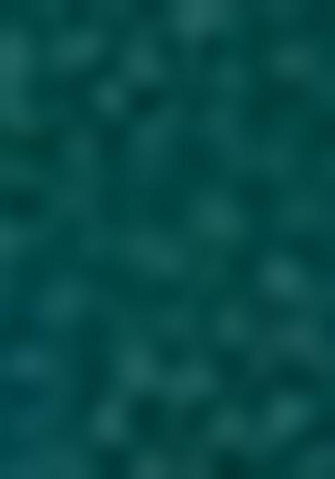 Green Embroidered Chiffon Sharara Set With Dupatta