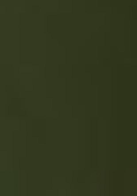 Dark Green Embroidered Faux Georgette Salwar Kameez With Dupatta